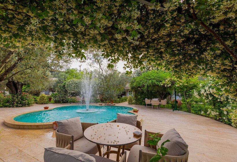 מוטל Gurel Garden House