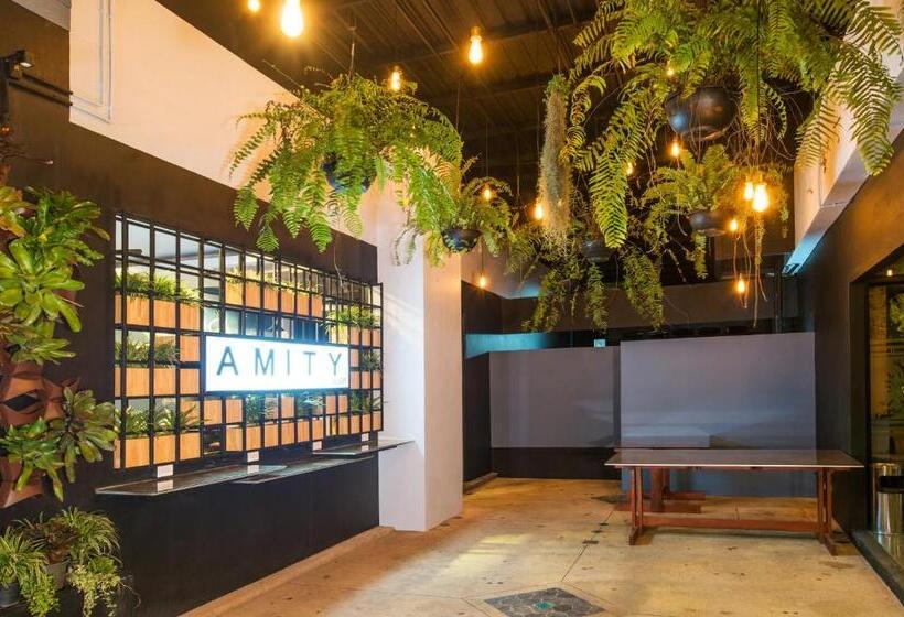 فندق صغير Amity Poshtel