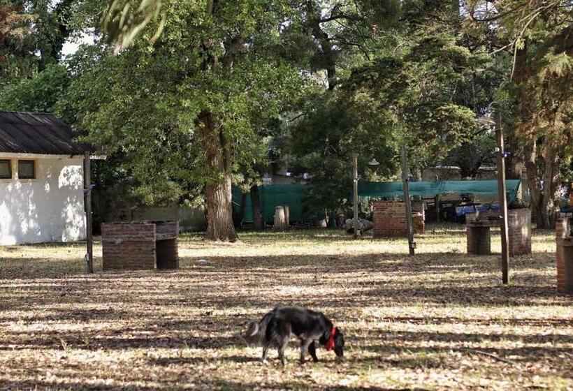 호스텔 El Viejo Molino