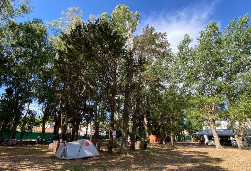 호스텔 El Viejo Molino