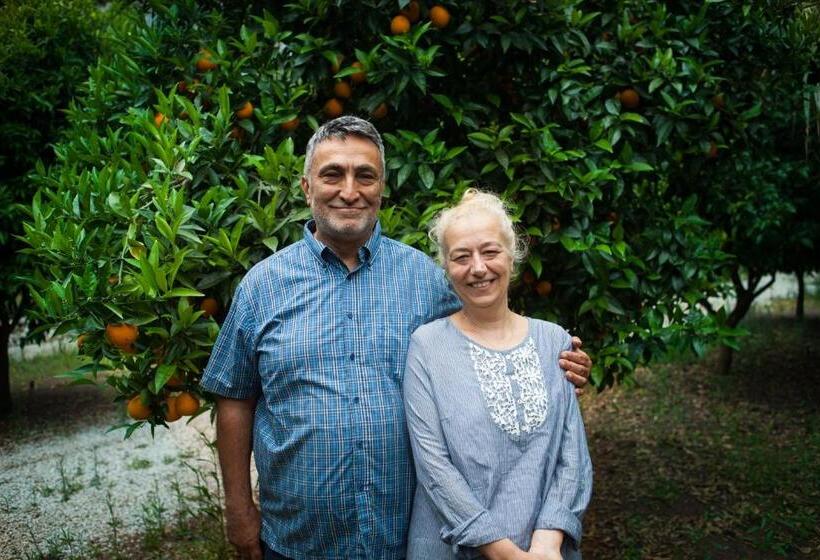 Bed and Breakfast Ekinoks Hotel   Adults Only