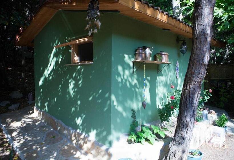 Bed and Breakfast Ekinoks Hotel   Adults Only