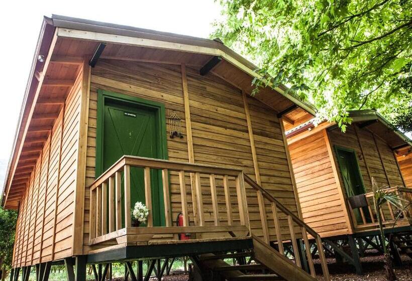 Bed and Breakfast Ekinoks Hotel   Adults Only