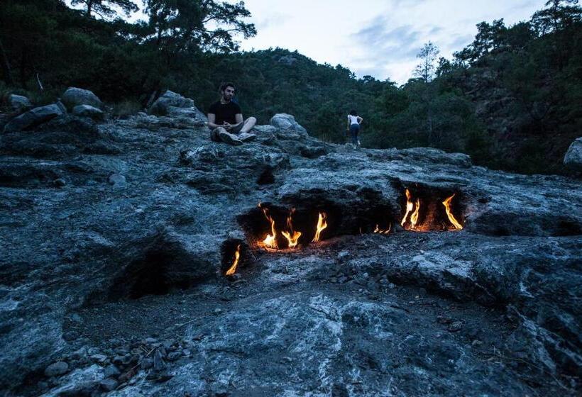 Bed and Breakfast Ekinoks Hotel   Adults Only