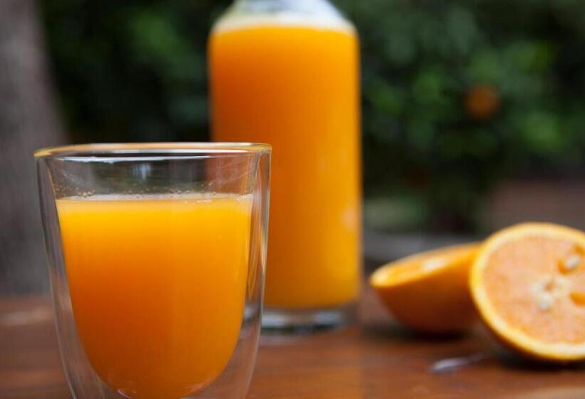 Bed and Breakfast Ekinoks Hotel   Adults Only