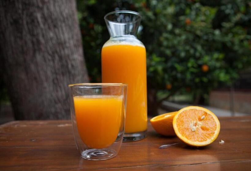 Bed and Breakfast Ekinoks Hotel   Adults Only