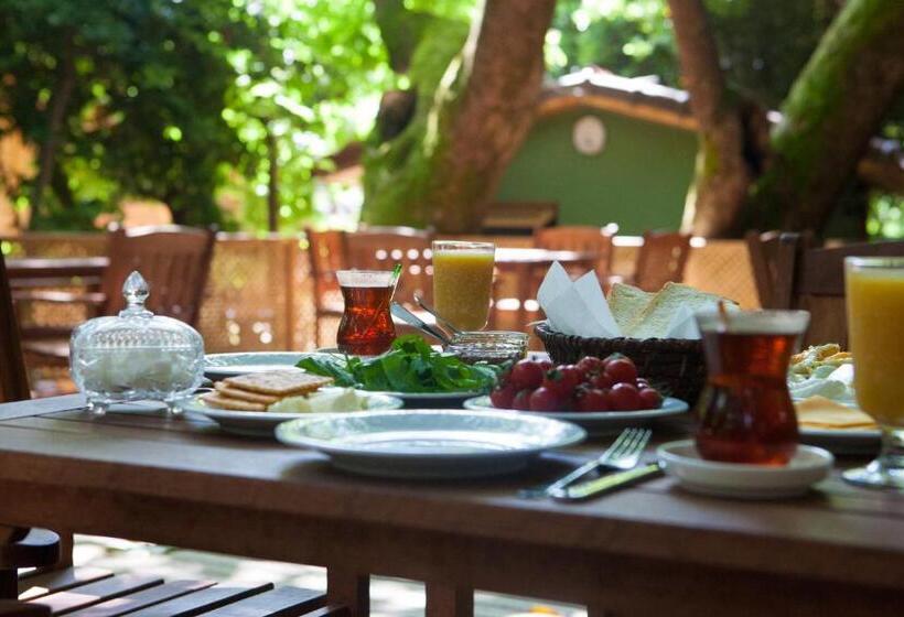 Bed and Breakfast Ekinoks Hotel   Adults Only