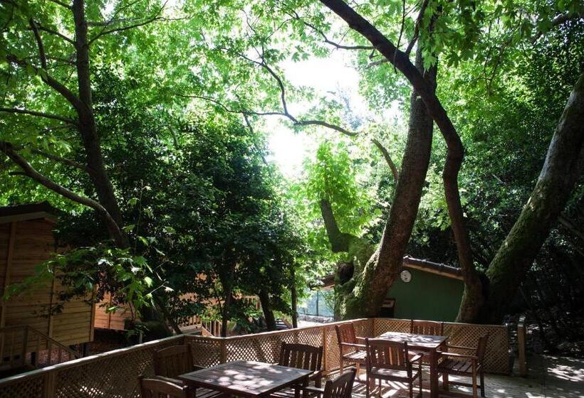 Bed and Breakfast Ekinoks Hotel   Adults Only