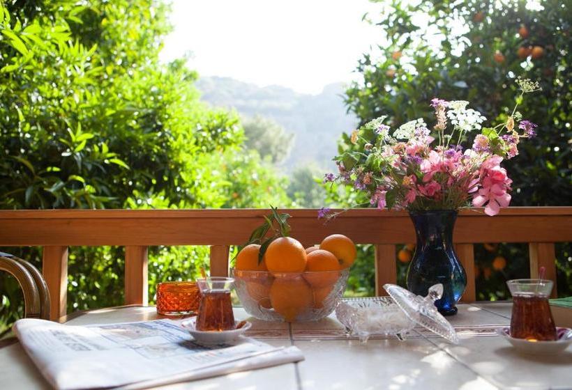 Bed and Breakfast Ekinoks Hotel   Adults Only