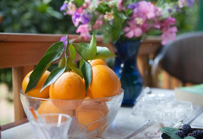 Bed and Breakfast Ekinoks Hotel   Adults Only