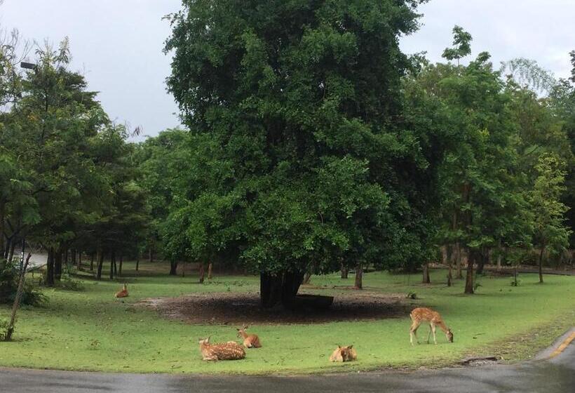 تختخواب و صبحانه Foresta Villa