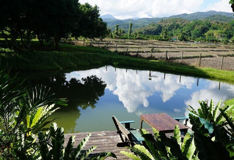 Bed and Breakfast Gumbie House