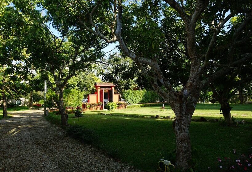 Bed and Breakfast Gumbie House