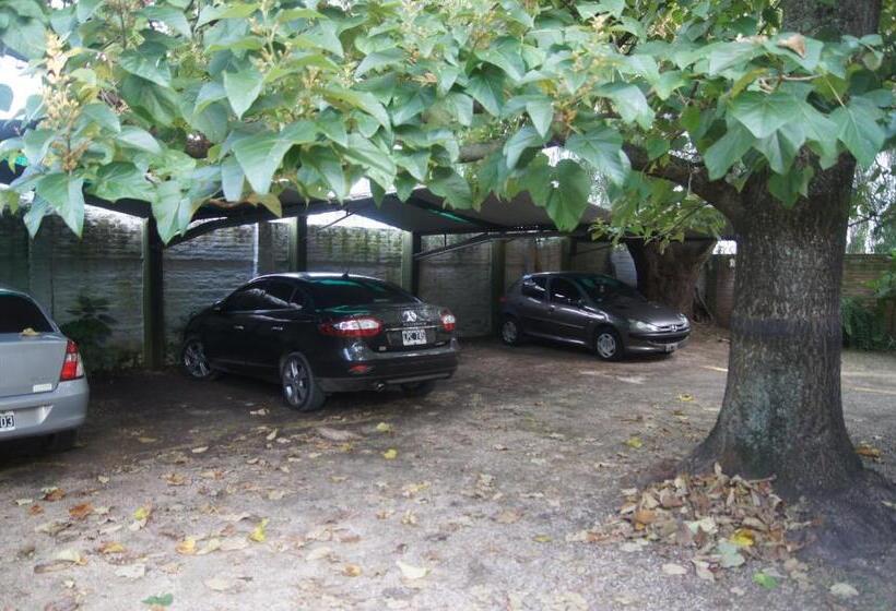 مبيت وإفطار Lorelei