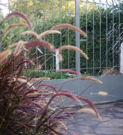 مبيت وإفطار Lorelei