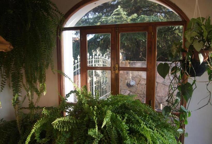 مبيت وإفطار Lorelei