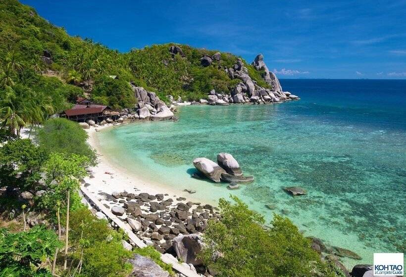 Gecko Republic Jungle Hostel