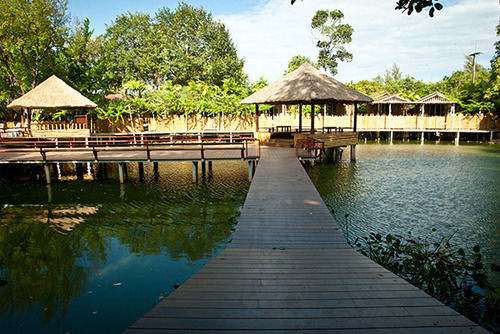 Отель Aristo Chic Resort And Farm