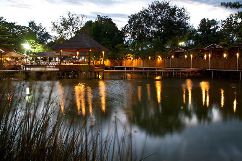 Отель Aristo Chic Resort And Farm