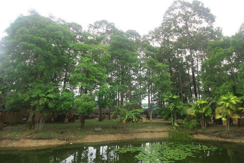 호텔 Aristo Chic Resort And Farm