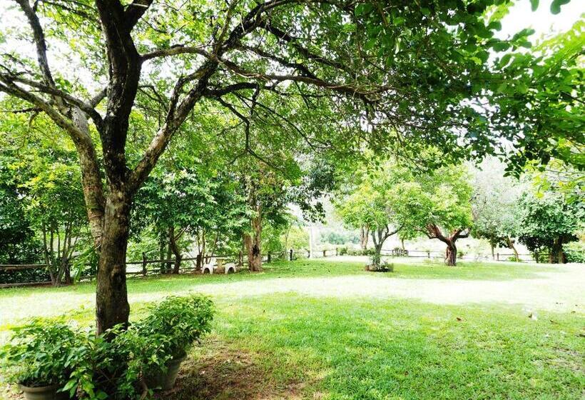 בית מלון כפרי Baan Pun Sook Resort