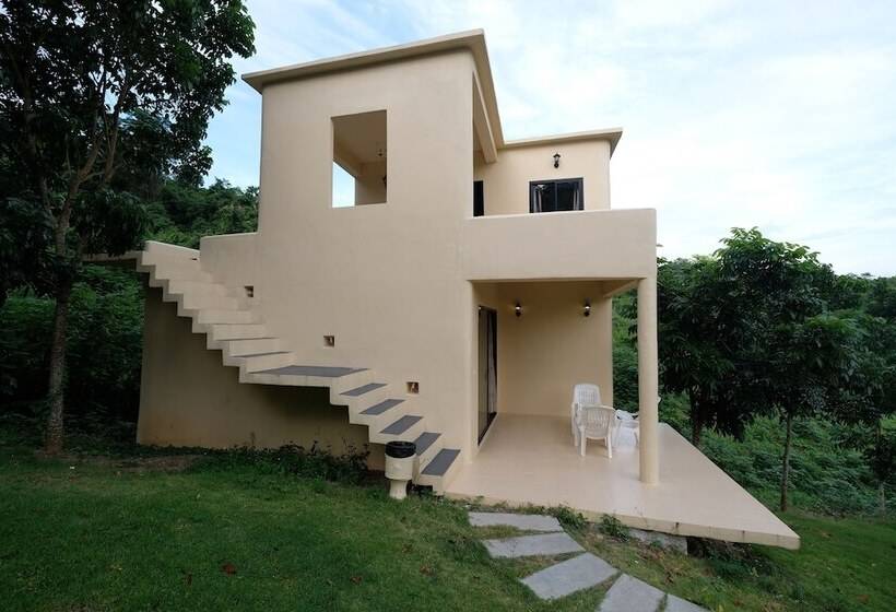 Hotel Hi  Scene Resort