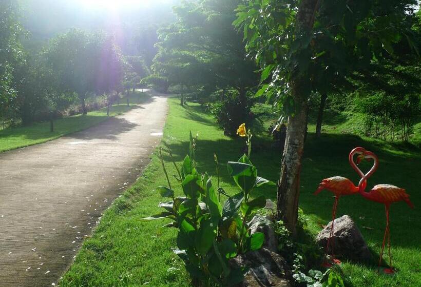 Hotel Hi  Scene Resort