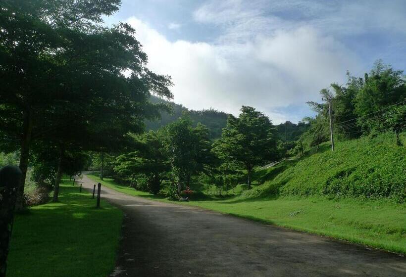 Hotel Hi  Scene Resort