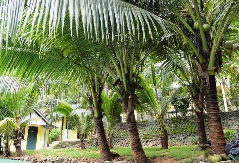 Отель Island Lodge