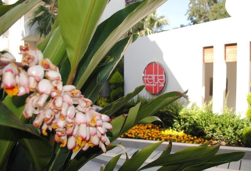 호텔 Calimera Side Resort