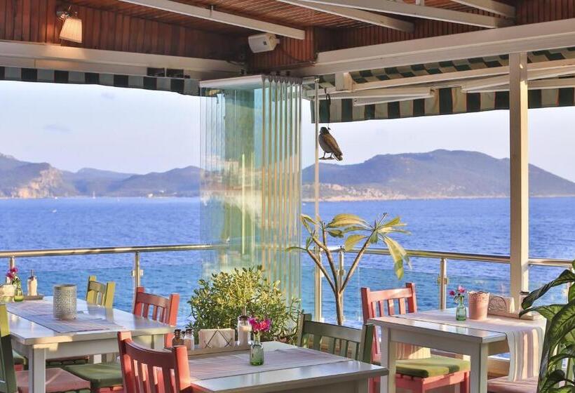 酒店 Sonne   Adults Only