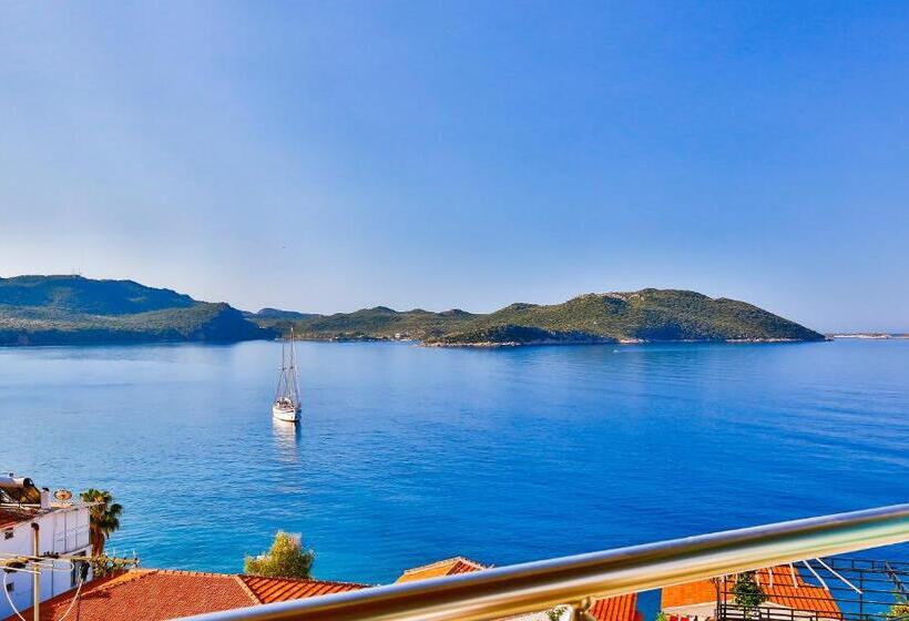 酒店 Sonne   Adults Only