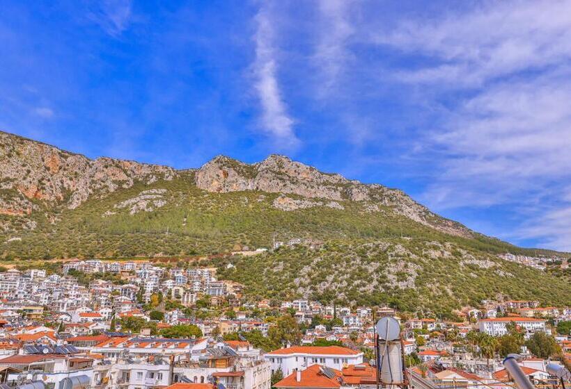 酒店 Sonne   Adults Only