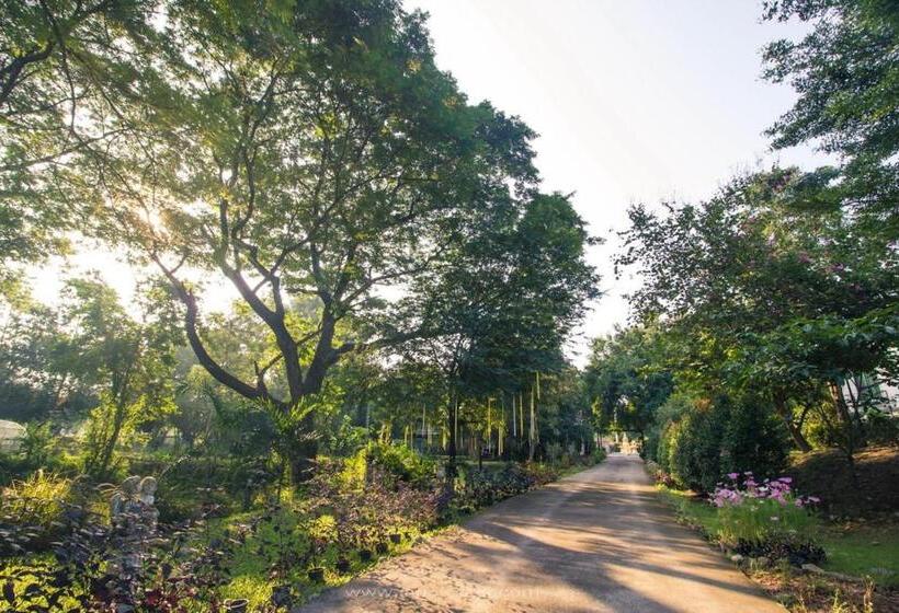 בית מלון כפרי The Harmony Resort