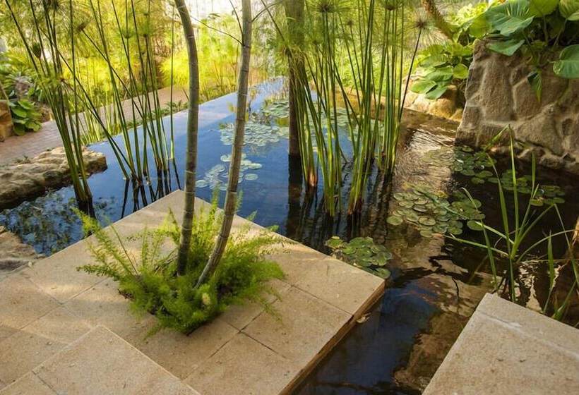 호텔 Tw Guaimbe Exclusive Suites