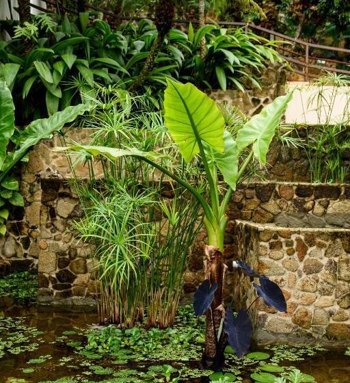 호텔 Tw Guaimbe Exclusive Suites