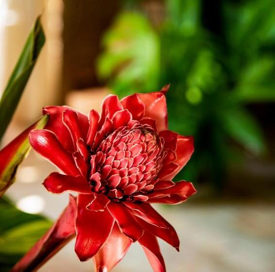 호텔 Tw Guaimbe Exclusive Suites