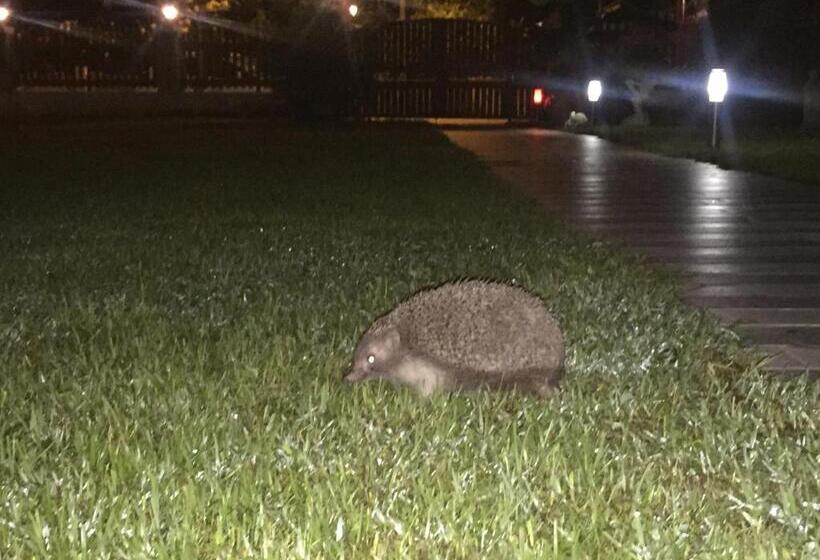 בית מלון כפרי Yaprak