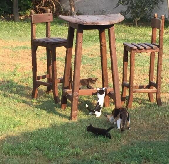 בית מלון כפרי Yaprak