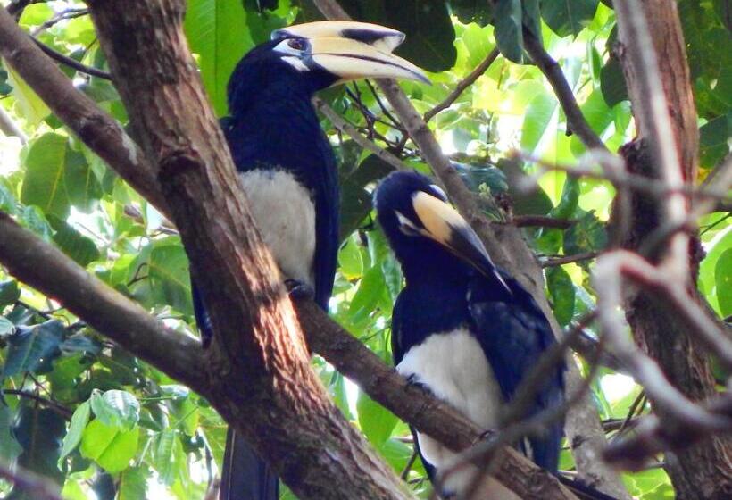 Jj Beach Resort & Jj Seafood