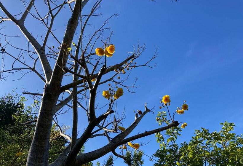 Khao Sok Hill Top Resort