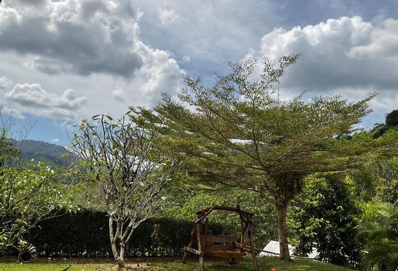 Khao Sok Hill Top Resort