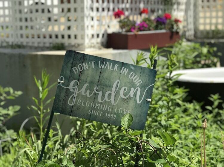 فندق على الطريق Mv Surfside