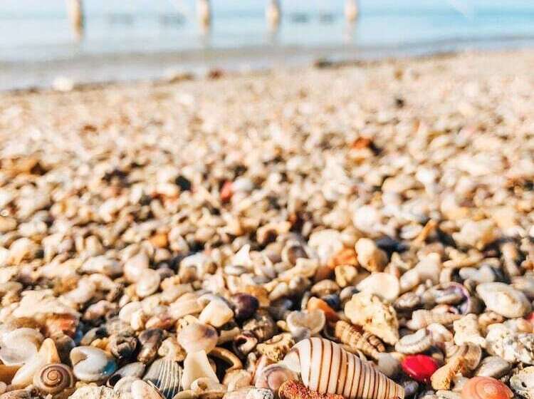 New Travel Beach Hotel & Resort