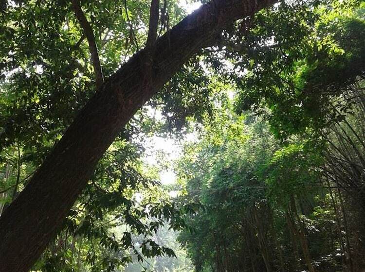 膳宿费 Bibury Resort