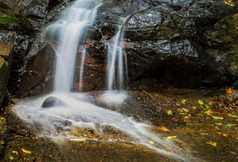 منتجع Art S Riverview Lodge