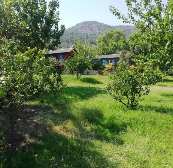 Курорт Bahar Bahce Datca