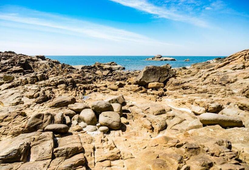 渡假胜地  Rabbit Bungalow