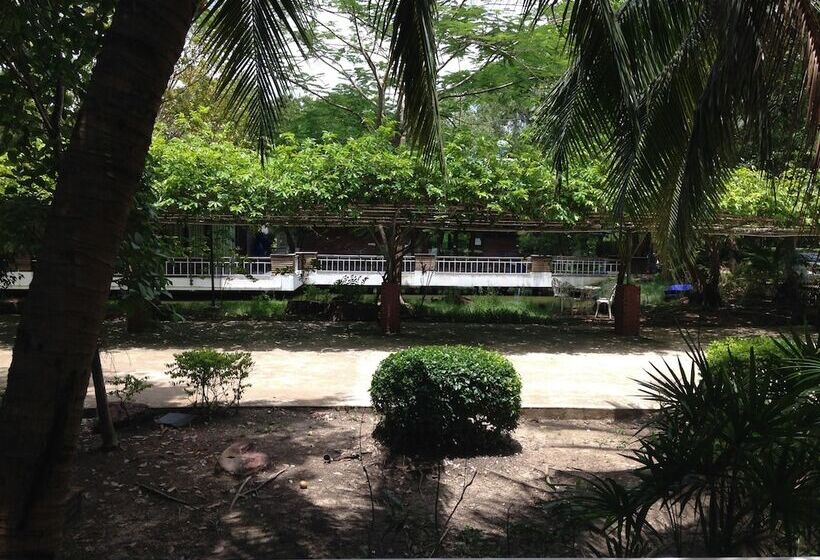 Young Coconut Garden Home Resort