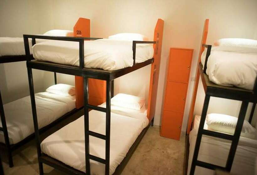 Mad Monkey Chiang Mai   Hostel